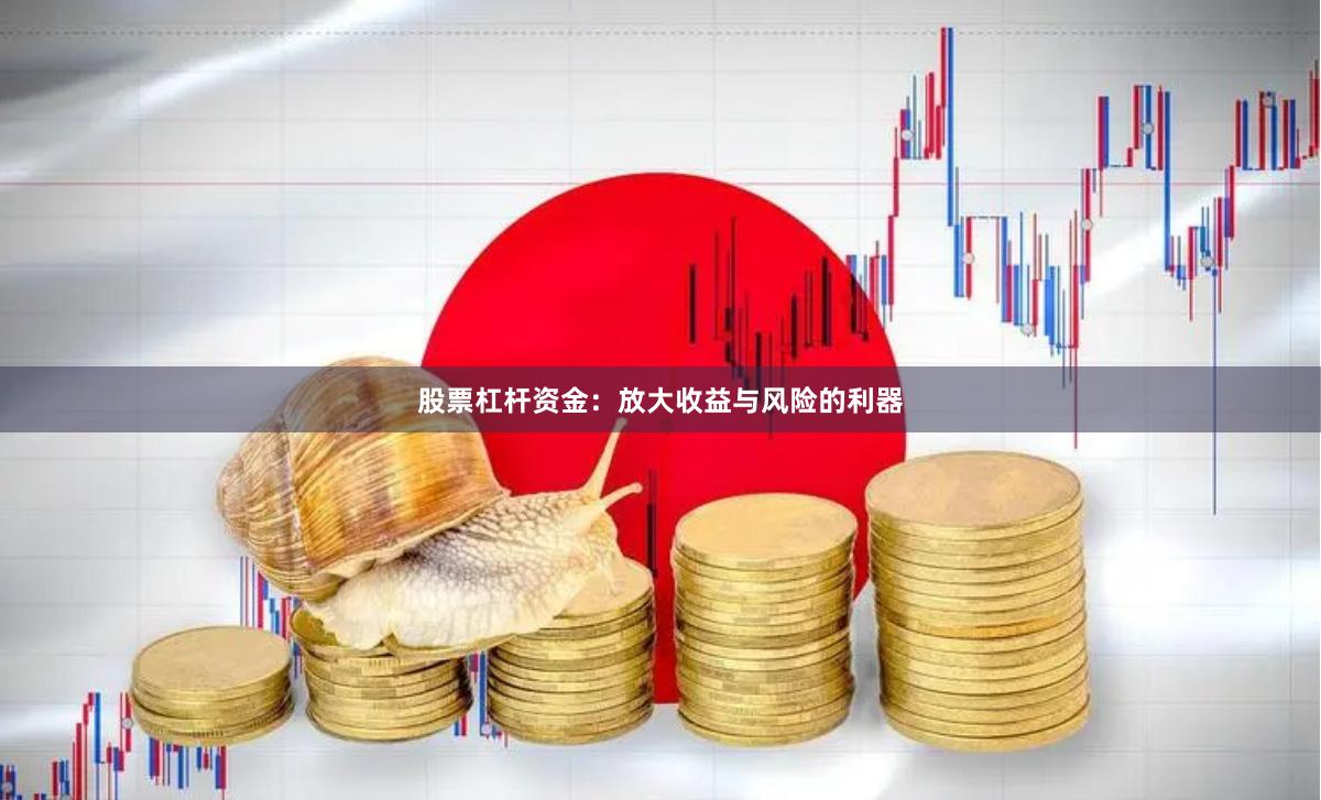 股票杠杆资金：放大收益与风险的利器