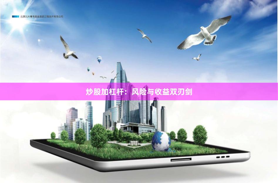炒股加杠杆：风险与收益双刃剑