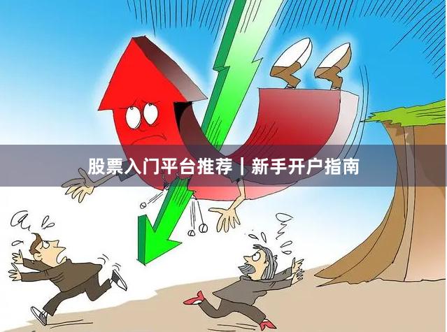 股票入门平台推荐｜新手开户指南